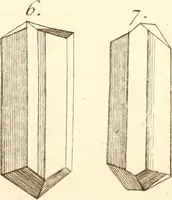 An illustration from The microscope made easy : or, I. The nature, uses, and magnifying powers of the best kinds of microscopes described, calculated, and explained ... II. An account of what surprizing discoveries have been already made by the microscope: with useful reflections on them .. (1742)