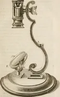 An illustration from The microscope made easy : or, I. The nature, uses, and magnifying powers of the best kinds of microscopes described, calculated, and explained ... II. An account of what surprizing discoveries have been already made by the microscope: with useful reflections on them .. (1742)