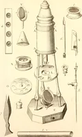 An illustration from The microscope made easy : or, I. The nature, uses, and magnifying powers of the best kinds of microscopes described, calculated, and explained ... II. An account of what surprizing discoveries have been already made by the microscope: with useful reflections on them .. (1742)