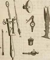 An illustration from The microscope made easy : or, I. The nature, uses, and magnifying powers of the best kinds of microscopes described, calculated, and explained ... II. An account of what surprizing discoveries have been already made by the microscope: with useful reflections on them .. (1742)