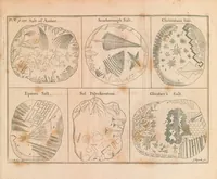 Picture 1 of 4 from Of microscopes and the discoveries made thereby : illustrated with many copper-plates (1785), leaf 189