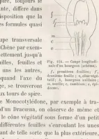 Picture 3 of 5 from Le microscope son emploi et ses applications .. (1876), leaf 419
