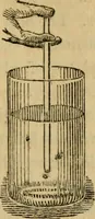 An illustration from The microscopic cabinet of select animated objects : with a description of the jewel and doublet microscope, test objects, &c. to which are subjoined, memoirs on the verification of microscopic phenomena, and an exact method of appreciating the quality of microscopes and engiscopes by C.R. Goring (1832)
