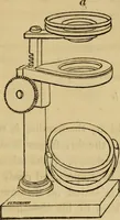 An illustration from The microscopic cabinet of select animated objects : with a description of the jewel and doublet microscope, test objects, &c. to which are subjoined, memoirs on the verification of microscopic phenomena, and an exact method of appreciating the quality of microscopes and engiscopes by C.R. Goring (1832)