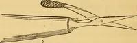 Picture 12 of 22 from Microscopic objects, animal, vegetable and mineral; with instructions for preparing and viewing them (1847), leaf 205