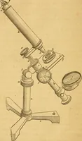 Picture 18 of 22 from Microscopic objects, animal, vegetable and mineral; with instructions for preparing and viewing them (1847), leaf 215