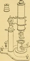 Picture 20 of 22 from Microscopic objects, animal, vegetable and mineral; with instructions for preparing and viewing them (1847), leaf 230