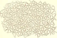 An illustration from The microscopist : a manual of microscopy and compendium of the microscopic science : micro-minerology, micro-chemistry, biology, histology, and pathological histology (1877)