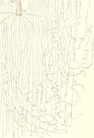 An illustration from The microscopist : a manual of microscopy and compendium of the microscopic science : micro-minerology, micro-chemistry, biology, histology, and pathological histology (1877)
