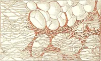 An illustration from The microscopist : a manual of microscopy and compendium of the microscopic science : micro-minerology, micro-chemistry, biology, histology, and pathological histology (1877)