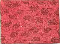An illustration from The microscopist : a manual of microscopy and compendium of the microscopic science : micro-minerology, micro-chemistry, biology, histology, and pathological histology (1877)