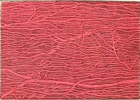 An illustration from The microscopist : a manual of microscopy and compendium of the microscopic science : micro-minerology, micro-chemistry, biology, histology, and pathological histology (1877)