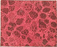 An illustration from The microscopist : a manual of microscopy and compendium of the microscopic science : micro-minerology, micro-chemistry, biology, histology, and pathological histology (1877)