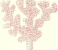 An illustration from The microscopist : a manual of microscopy and compendium of the microscopic science : micro-minerology, micro-chemistry, biology, histology, and pathological histology (1877)