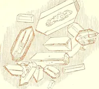 An illustration from The microscopist : a manual of microscopy and compendium of the microscopic science : micro-minerology, micro-chemistry, biology, histology, and pathological histology (1877)
