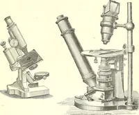 An illustration from The microscopist : a manual of microscopy and compendium of the microscopic science : micro-minerology, micro-chemistry, biology, histology, and pathological histology (1877)