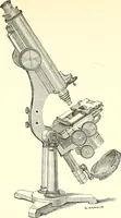 An illustration from The microscopist : a manual of microscopy and compendium of the microscopic science : micro-minerology, micro-chemistry, biology, histology, and pathological histology (1877)