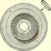 An illustration from The microscopist : a manual of microscopy and compendium of the microscopic science : micro-minerology, micro-chemistry, biology, histology, and pathological histology (1877)