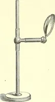 An illustration from The microscopist : a manual of microscopy and compendium of the microscopic science : micro-minerology, micro-chemistry, biology, histology, and pathological histology (1877)