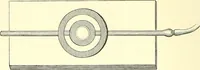 An illustration from The microscopist : a manual of microscopy and compendium of the microscopic science : micro-minerology, micro-chemistry, biology, histology, and pathological histology (1877)