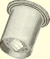 An illustration from The microscopist : a manual of microscopy and compendium of the microscopic science : micro-minerology, micro-chemistry, biology, histology, and pathological histology (1877)