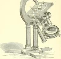 An illustration from The microscopist : a manual of microscopy and compendium of the microscopic science : micro-minerology, micro-chemistry, biology, histology, and pathological histology (1877)