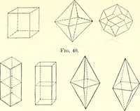 An illustration from The microscopist : a manual of microscopy and compendium of the microscopic science : micro-minerology, micro-chemistry, biology, histology, and pathological histology (1877)