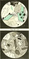 An illustration from The microscopist : a manual of microscopy and compendium of the microscopic science : micro-minerology, micro-chemistry, biology, histology, and pathological histology (1877)