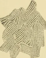 An illustration from The microscopy of vegetable foods, with special reference to the detection of adulteration and the diagnosis of mixtures (1916)
