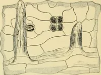 An illustration from The microscopy of vegetable foods, with special reference to the detection of adulteration and the diagnosis of mixtures (1916)