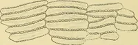 An illustration from The microscopy of vegetable foods, with special reference to the detection of adulteration and the diagnosis of mixtures (1916)