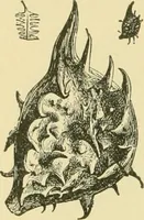 Picture 110 of 504 from The microscopy of vegetable foods (1906), leaf 175