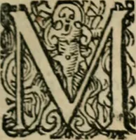 Picture 4 of 75 from [Mikrokosmos] : Paruus mundus (1644), leaf 10