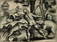 An illustration from [Mikrokosmos] : Paruus mundus (1644)
