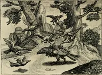 Picture 70 of 75 from [Mikrokosmos] : Paruus mundus (1644), leaf 147