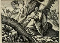 Picture 34 of 75 from [Mikrokosmos] : Paruus mundus (1644), leaf 73