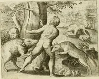 An illustration from Mikrokosmos = Parvvs mvndvs (1579)