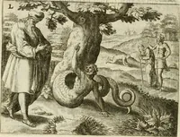 An illustration from Mikrokosmos = Parvvs mvndvs (1579)