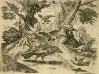 An illustration from Mikrokósmos = Paruus mundus (1610)