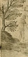 Picture 73 of 77 from Mikrokósmos = Paruus mundus (1610), leaf 151