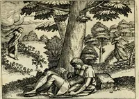 An illustration from Mikrokósmos = Paruus mundus (1618)