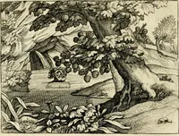 Picture 62 of 74 from Mikrokósmos = Paruus mundus (1618), leaf 137