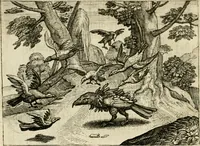 Picture 68 of 74 from Mikrokósmos = Paruus mundus (1618), leaf 149
