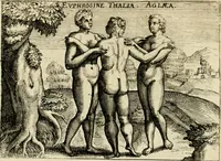 Picture 21 of 74 from Mikrokósmos = Paruus mundus (1618), leaf 49