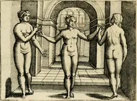 Picture 22 of 74 from Mikrokósmos = Paruus mundus (1618), leaf 51
