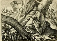 Picture 33 of 74 from Mikrokósmos = Paruus mundus (1618), leaf 75