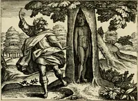 Picture 37 of 74 from Mikrokósmos = Paruus mundus (1618), leaf 83