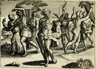 Picture 45 of 74 from Mikrokósmos = Paruus mundus (1618), leaf 99