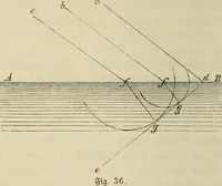Picture 19 of 209 from Mikroskopische Bilder : Naturansichten aus dem kleinsten Raume ; ein Gemälde des Mikrokosmus in seinen Gestalten und Gesetzen (1853), leaf 101