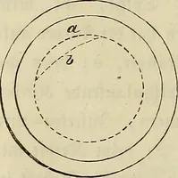 Picture 32 of 209 from Mikroskopische Bilder : Naturansichten aus dem kleinsten Raume ; ein Gemälde des Mikrokosmus in seinen Gestalten und Gesetzen (1853), leaf 175